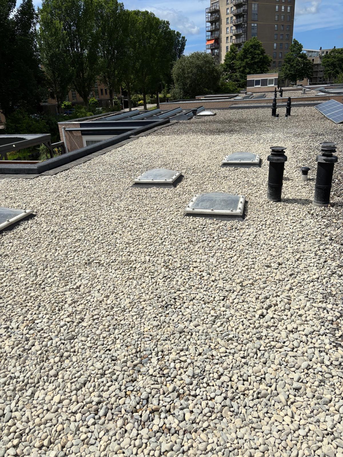 plat bitumen dak renovatie